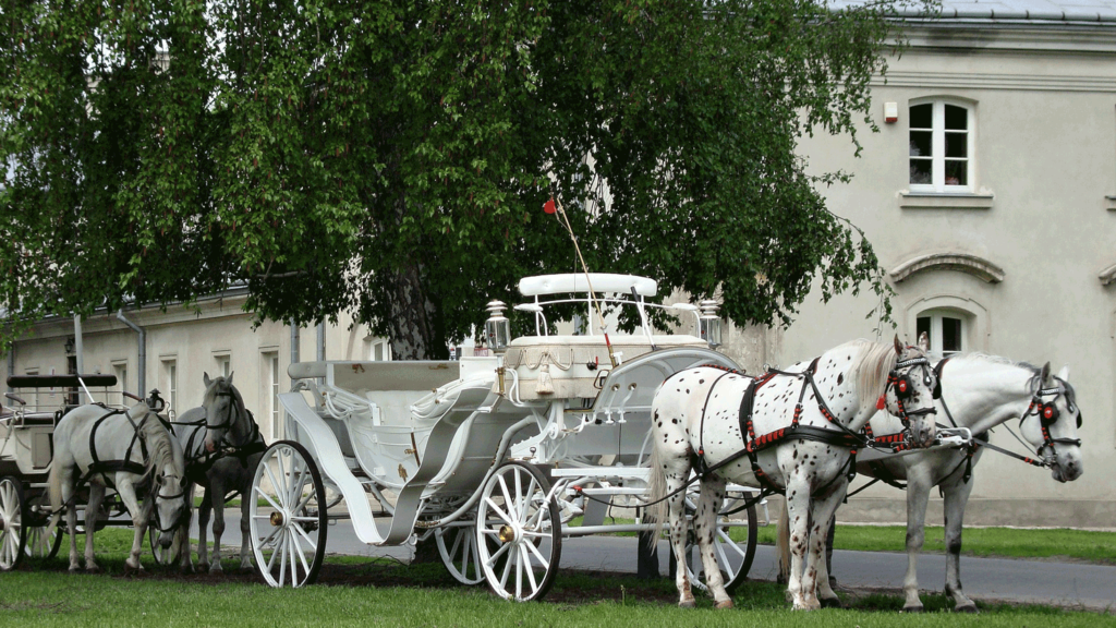 Spotkanie Klubu 555 w Koninie – 2 czerwca